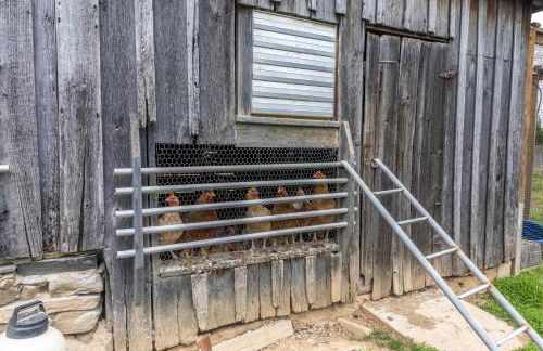 Watch Deer from a Farm Cottage - Foto 33