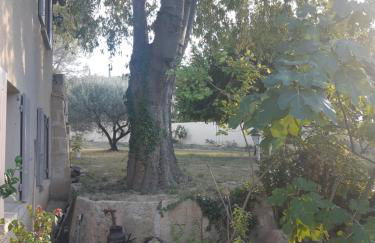 La Cartagène - charmant appartement entouré de nature - Photo 19