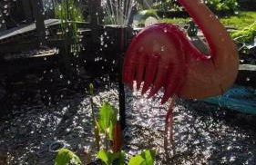 CT Apartment Wurzen - Foto 41