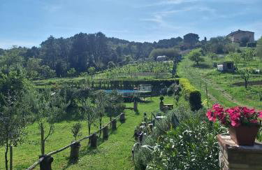 La Casa dei Nonni - Foto 20