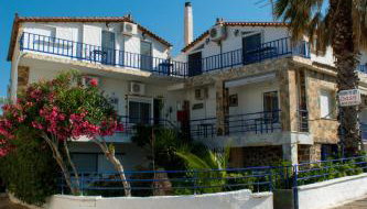 Oasis - Photo 2