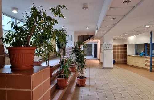 Apartament B & S - Free Garage Parking - Foto 37