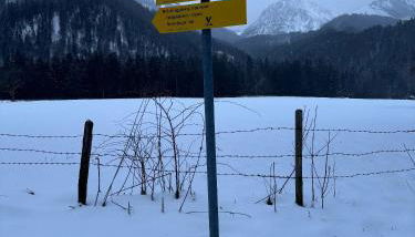 Achentaler Auszeit - Photo 3