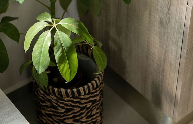 Villa Nature Kalives Chania - Foto 54