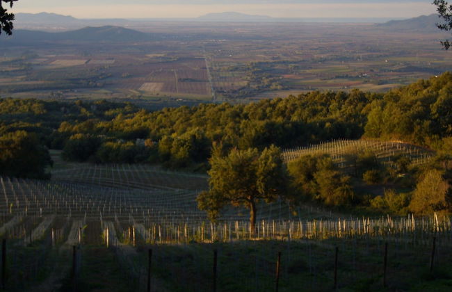 Valdonica Winery & Vineyard Residence - Foto 69