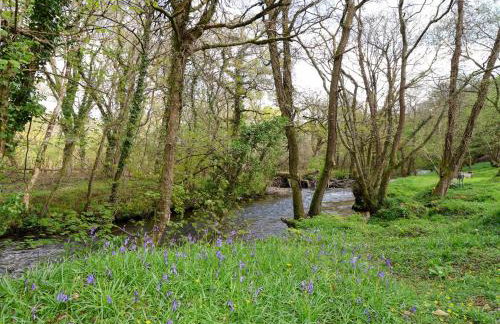 Jasmine cottage - Photo 32