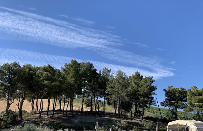 Naturaverde Country House - Photo 31