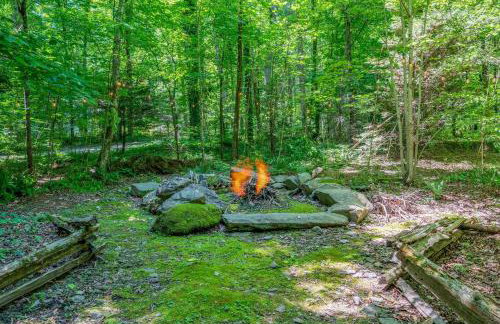 Dreamy Cabin & Outdoor Oasis! Mins to Nat'l Park! - Photo 38