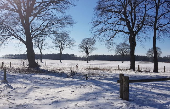 Holiday Home in Netherlands With Pond View - Photo 32