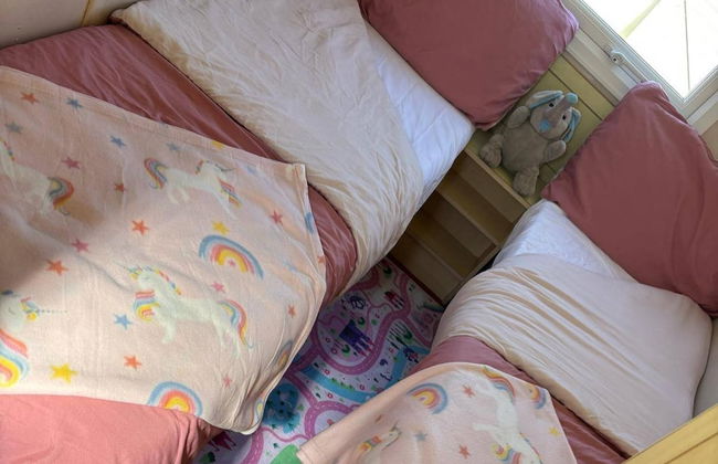 Family Caravan-pets-golden Palm-pool-arcades - Foto 2