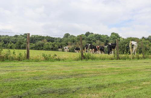 Oast Cottage - Foto 43