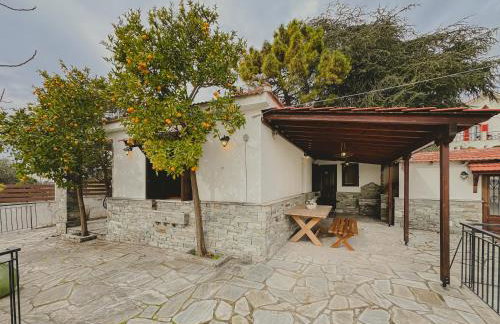 Pelion Green House - Foto 16