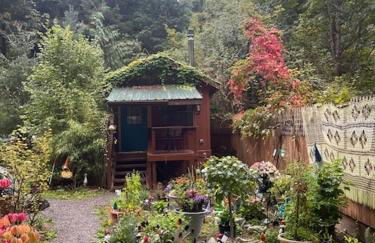 Mystic Ivy - Foto 22