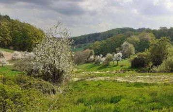 Odenwald Lounge im Naturpark Bergstraße-Odenwald - Photo 15