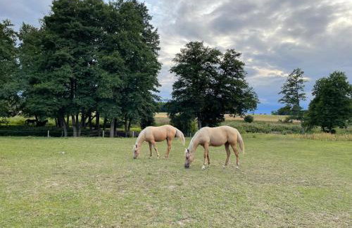 JZ Guest Ranch - Foto 36