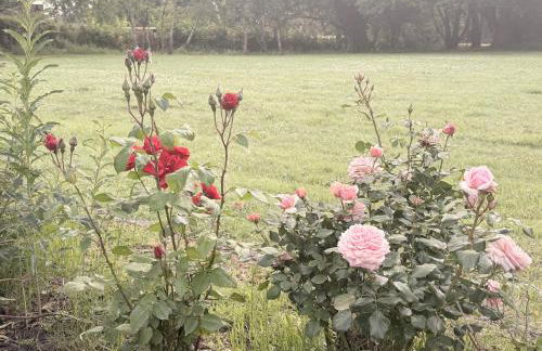 Couples - Retreat Dog Friendly - Foto 50