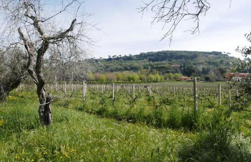 Villa Cavalletti - Foto 73