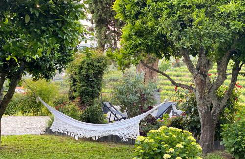 Quinta da Salada - Turismo Rural - Foto 50