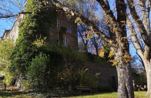 Ferienwohnung Eifelblick - Foto 58