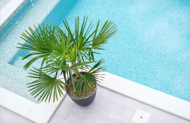 Villa Antonia - Foto 65