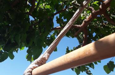 Climb and dive South ! - Foto 35