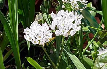 Figueres Center - Foto 46