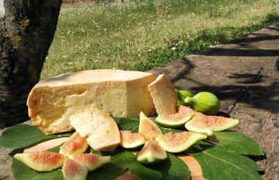 Agriturismo Bellavista - Foto 23