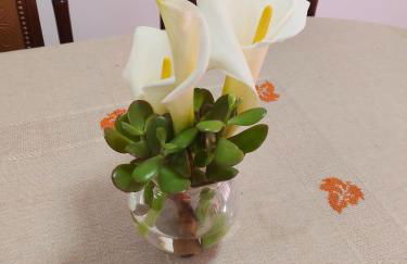 Refugio Catanho - Foto 9