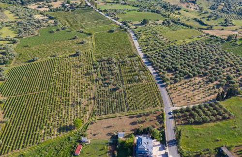 VILLA IN NATURE - Foto 64