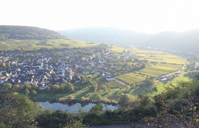 Korkenzieher Restaurant Café - Foto 44