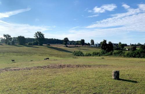 Toskania Kociewska - Photo 62