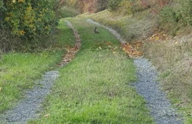 Ferienwohnung am sonnigen Haimberg - Foto 46