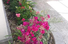 House Marija - Foto 19