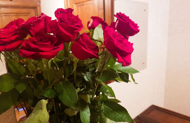 AELITA Apartment with Port View - Foto 8