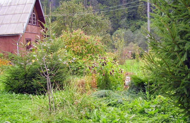 Green tourism - Foto 4