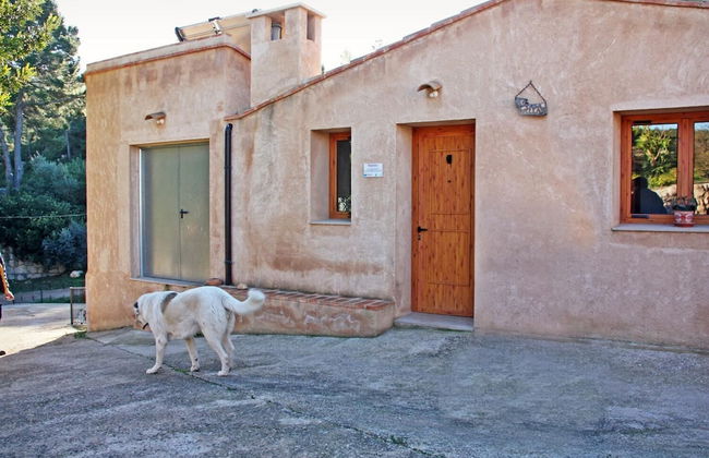 Hort de Mao El Rebost - Foto 35