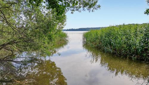 Ferienhaus Dobbin - Photo 5