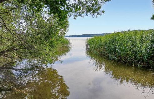 Ferienhaus Dobbin - Foto 5