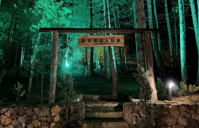 Koru Aura Mengen - Photo 14