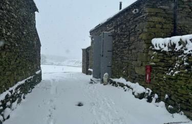 Wild boar barn - Foto 8