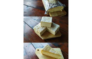 Agriturismo Paneolio - Foto 26