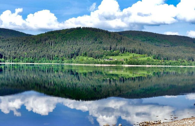 Apartment in Bernau Near Feldberg Ski Area - Foto 37