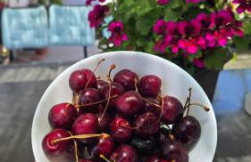 E s s e n t i a l Pompei - Foto 5