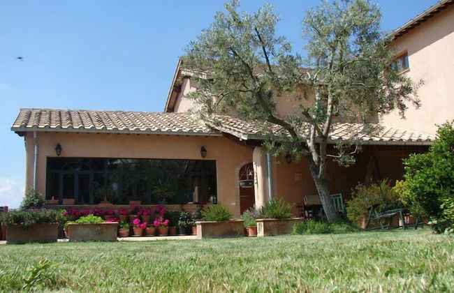 Agriturismo Terrasabina - Foto 33