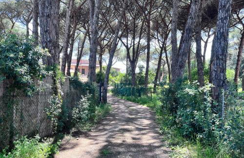 Casa duna sulla spiaggia - Foto 34