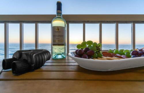 Seaside Serenity with Ocean Views - Photo 51