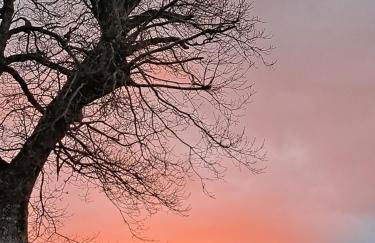 B&B Le Scintille - Foto 45