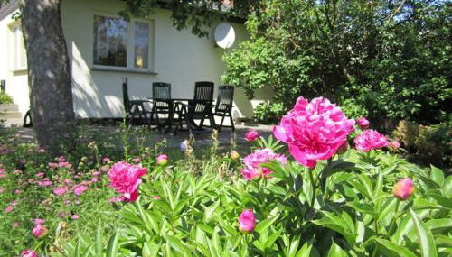 Ferienhaus am Schilfgürtel - Foto 5, Garden