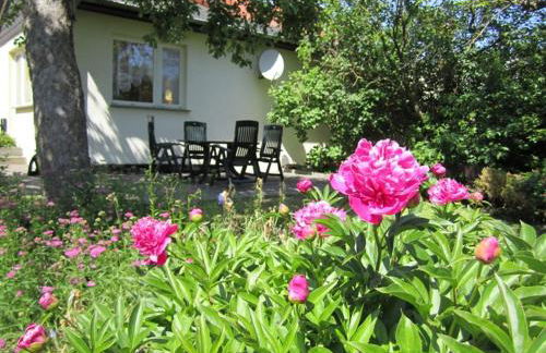 Ferienhaus am Schilfgürtel - Foto 5