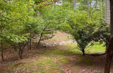 Oasis on 151 - Ideal Location on Brew Ridge Trail - Foto 11